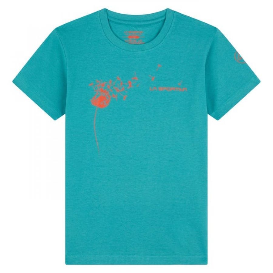 products/AppProduct_2689.name