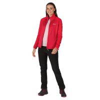 products/AppProduct_3015.name