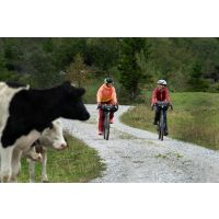 products/AppProduct_3353.name