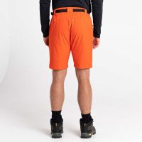 products/AppProduct_3422.name