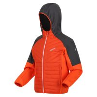 products/AppProduct_3481.name