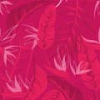 products/AppProduct_3589.name
