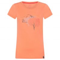 products/AppProduct_535.name