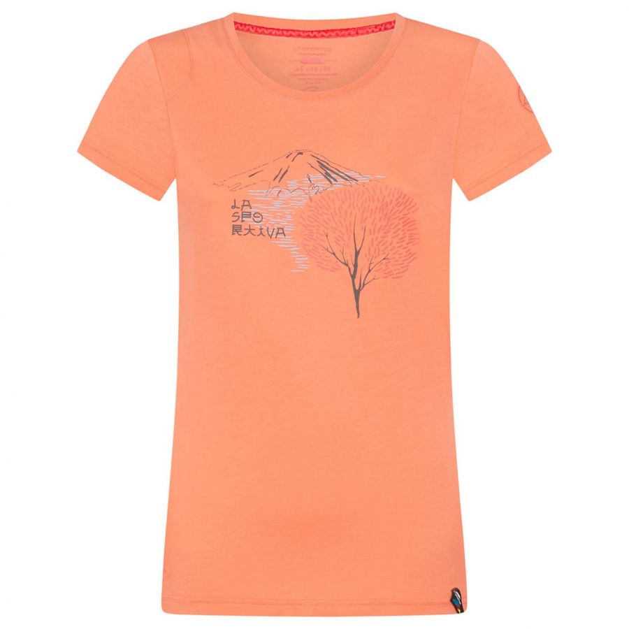 products/AppProduct_535.name