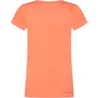 products/AppProduct_536.name